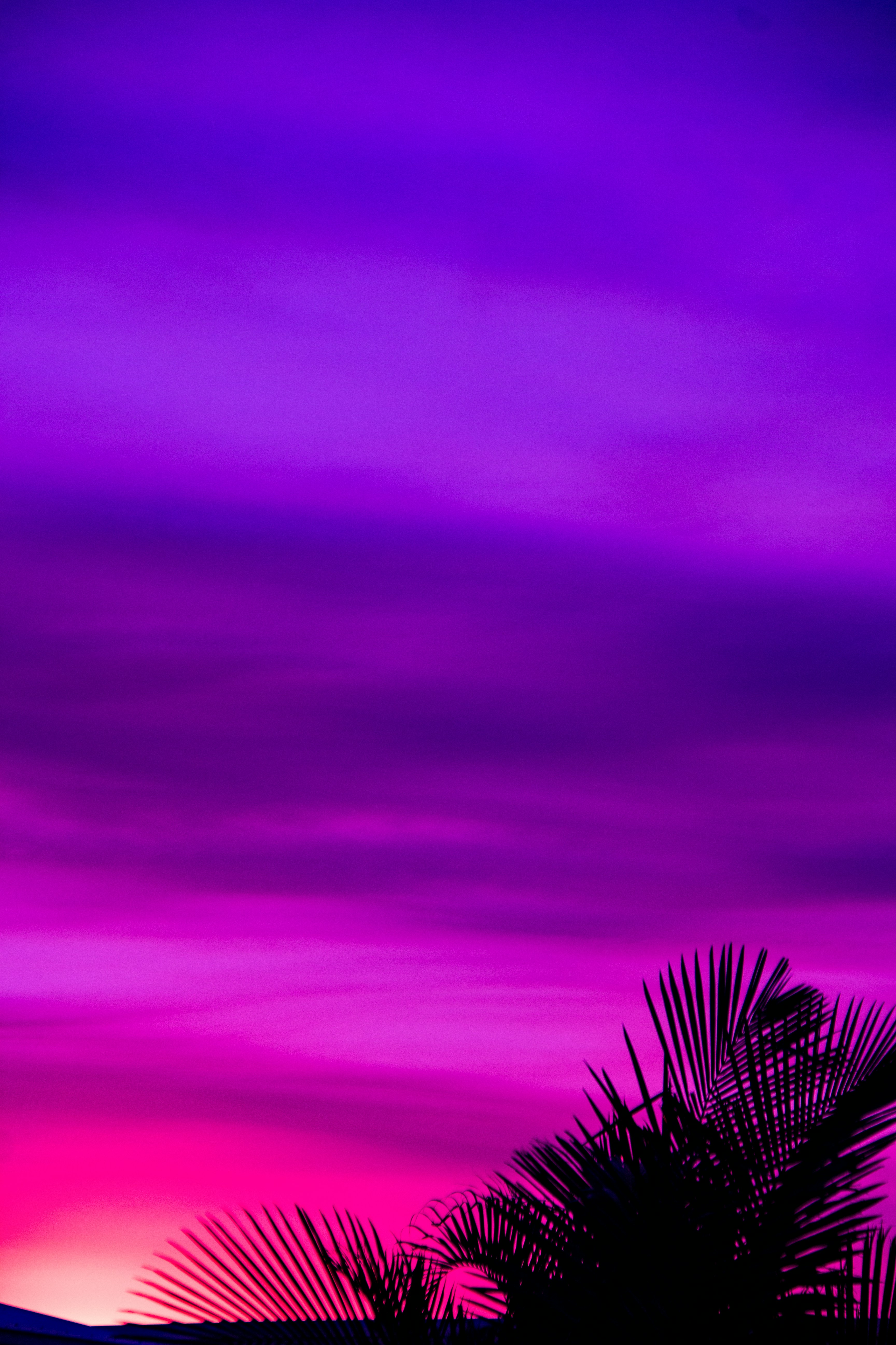 background img